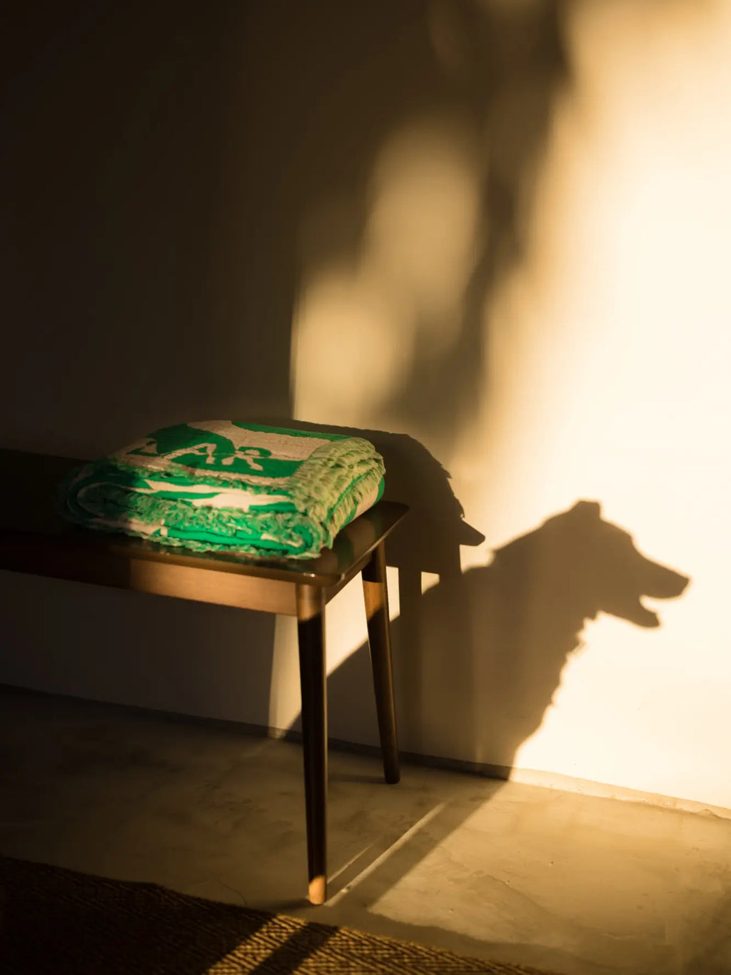 Grüne Kuscheldecke von LAR auf Design-Bank mit Schatten von Hund