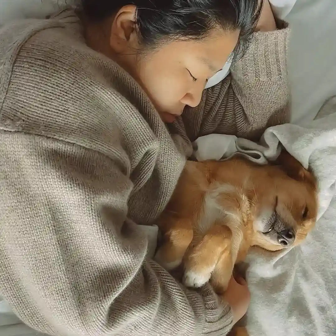 Frau mit Hund gemütlich im Bett mit Decke, Freunde von LAR